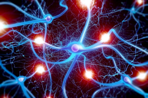 Cognitive Functioning, Psychological Vulnerability & Financial Exploitation