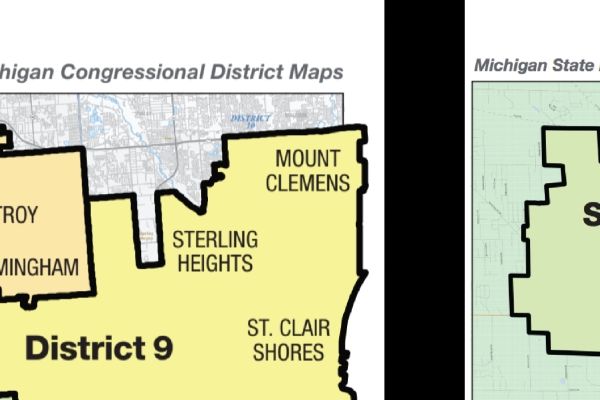 Redistricting Update and Town Hall