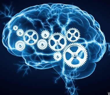 Put Your Best Brain Forward