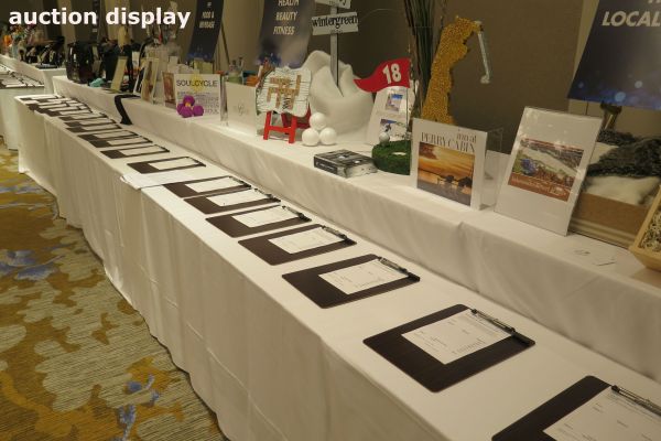 Silent Auction Coming to You!