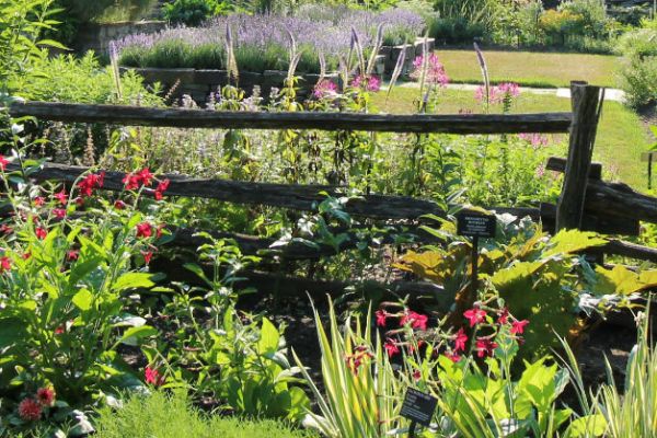 How to Garden with Comfort & Ease