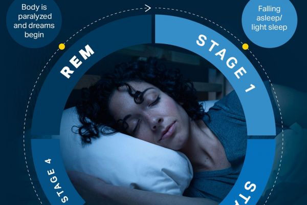 Understanding your Sleep Cycles