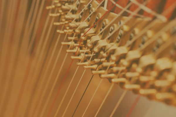 An Evening of Beautiful Harp Music - Traditional and Holiday Music!