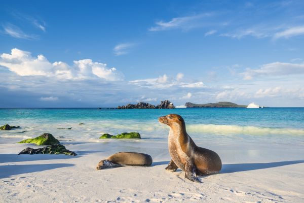 Amazing Photographic Journey Through South America