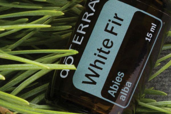 Holiday Essential Oils