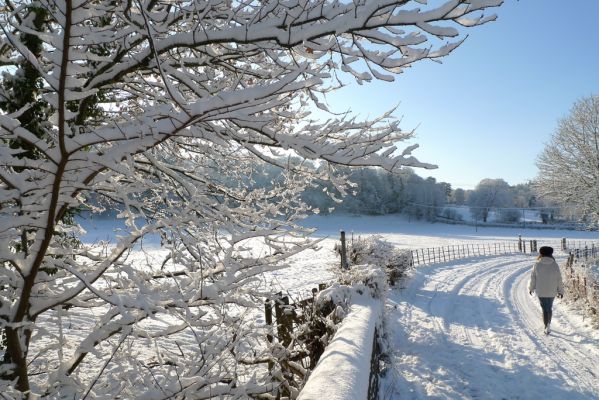 Henry Ford Health: Coping with the Winter Blues