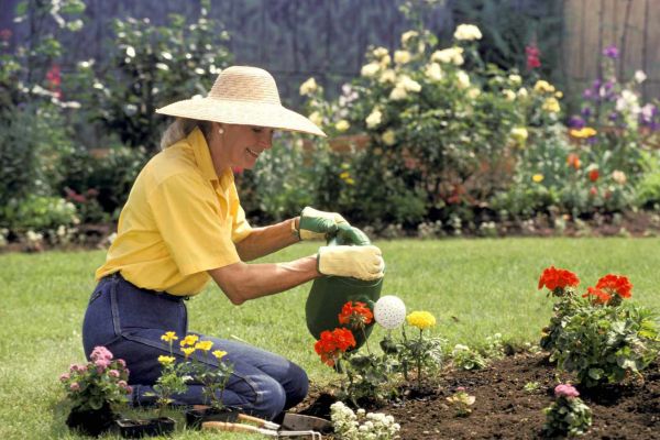 Working With - Not Against - Your Garden