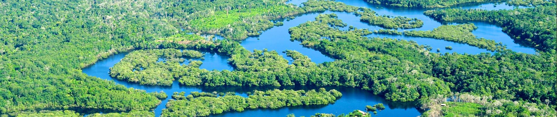 Journey to the Amazon