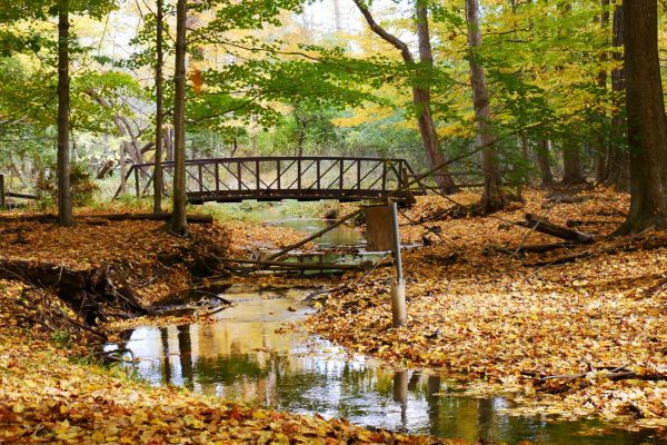 The Stage Nature Center- A Gem of Oakland County