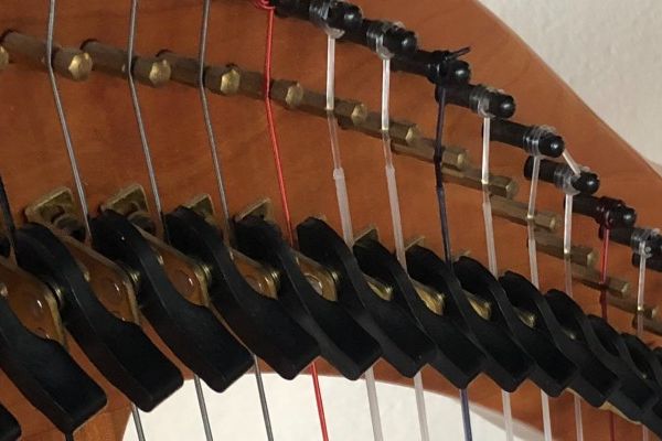 DSO Principal Harpist, Alyssa Katahara Performing at Next!