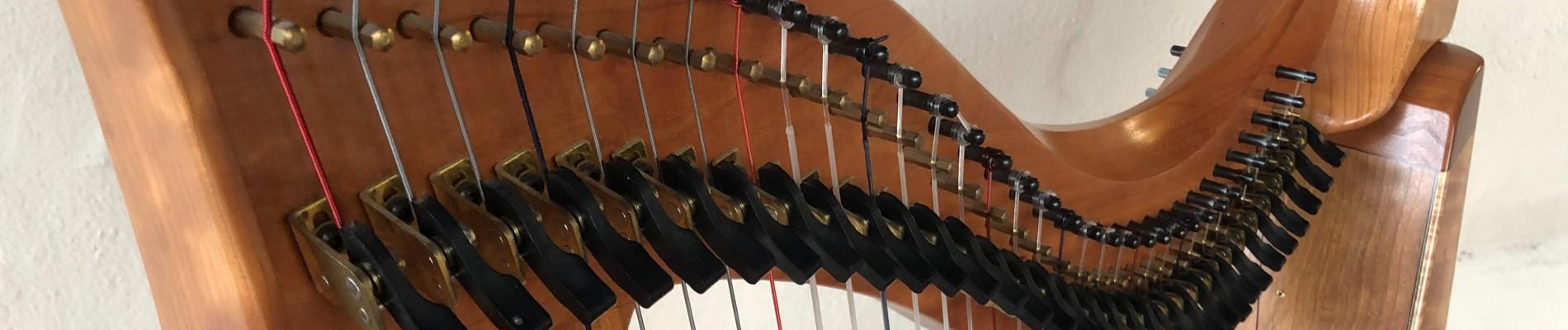 DSO Principal Harpist, Alyssa Katahara Performing at Next!