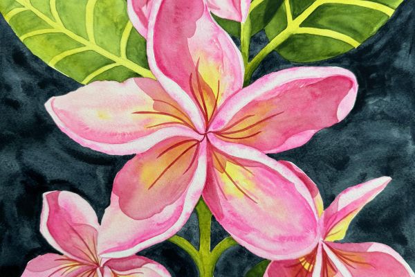 Watercolor Studio Series
