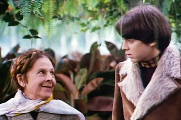 Dinner and a Classic - Harold and Maude