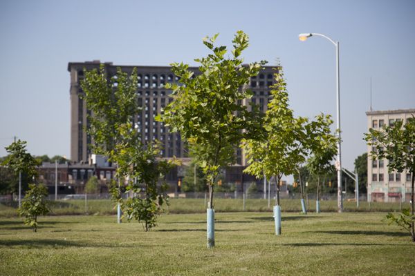 Climate Change. Simple. Serious. Solvable.&nbsp;  &nbsp;  &nbsp;  &nbsp;  &nbsp;   The Greening of Detroit