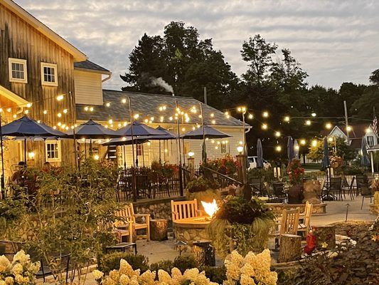 Harvest Adventure: Lunch, Wine & Michigan Countryside Charm