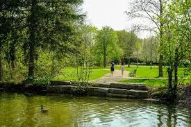 Nature Walk, Scavenger Hunt, and Forest Bathing
