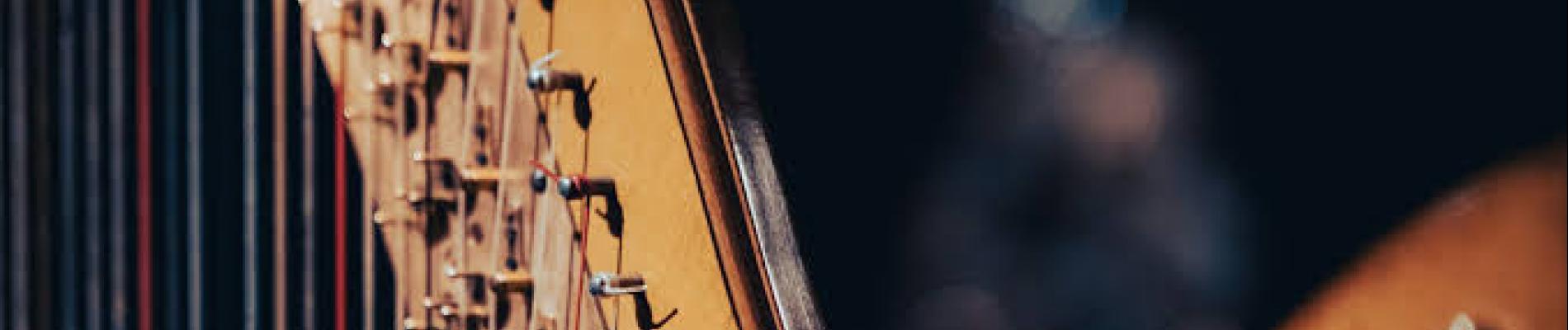 Detroit Symphony Orchestra Holiday Harp and Cello Concert