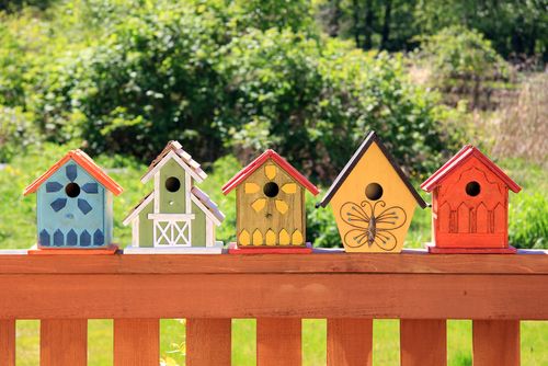 Paint a Beautiful Spring Birdhouse