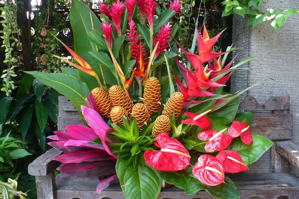 Floral Arrangement Basics