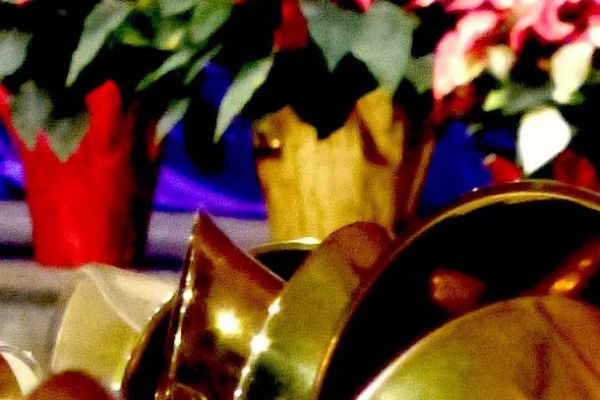 Ring in the Holidays with Next