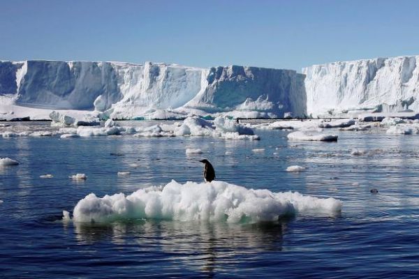 Expedition to Antarctica Travlelogue