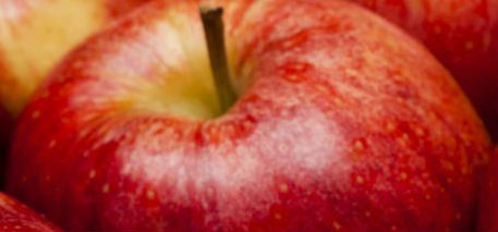 An Apple a Day: How Lifestyle Impacts Health