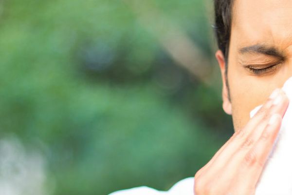 Environmental Allergies