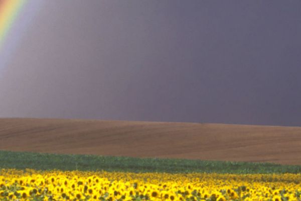 Let’s Talk Mental Wellness