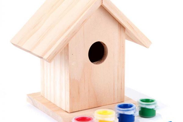 Paint a Charming Birdhouse