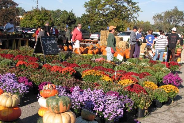 Fall Color Tour / Oakland County Market