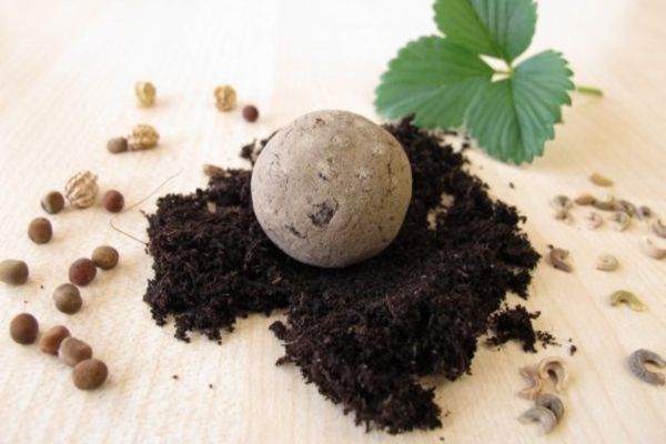 Wildflower Seed Bombs