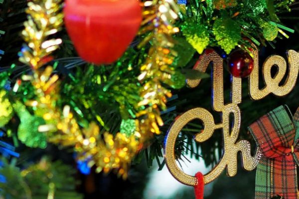 A Storytelling Christmas with Pam Dawson