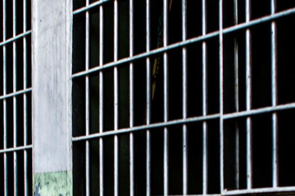 Incarceration: Trends & Issues