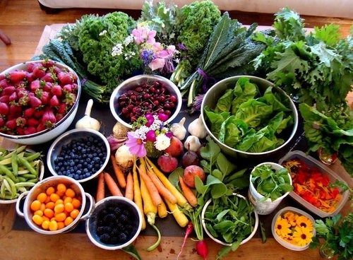 Nutritional Concerns for Older Adults